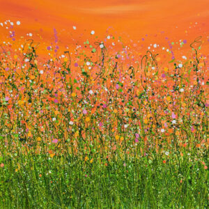 Tangerine Summer Dreaming