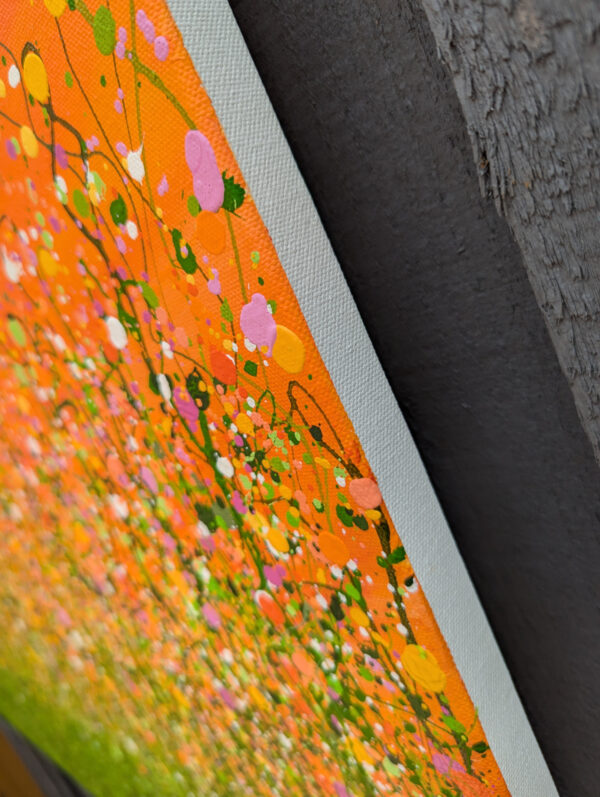 Tangerine Summer Dreaming - Image 4