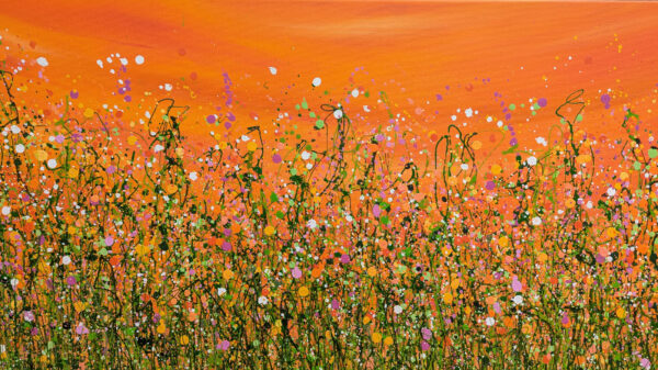 Tangerine Summer Dreaming